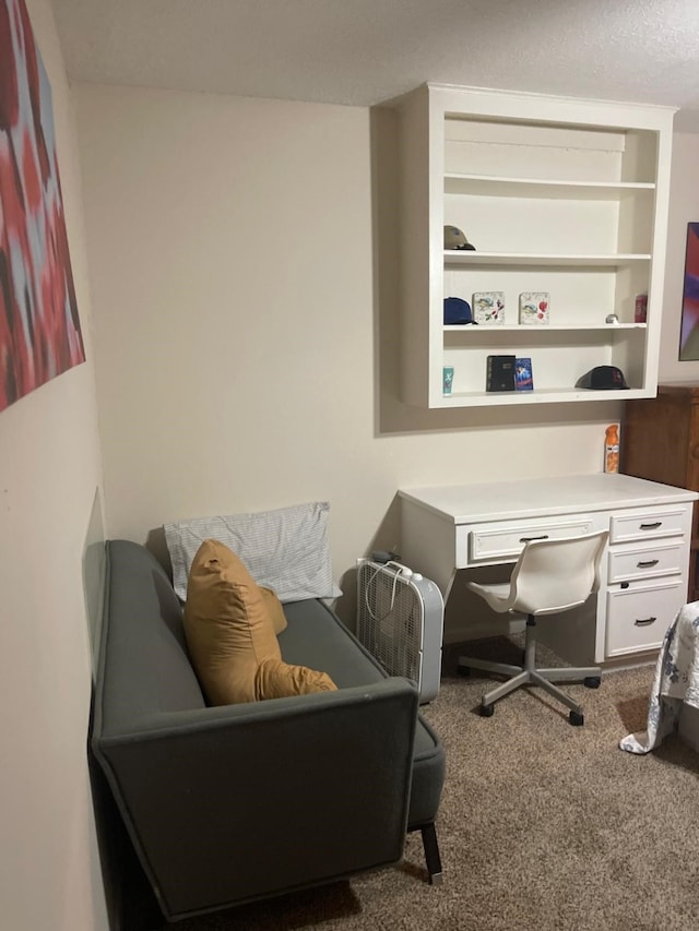 view of carpeted home office