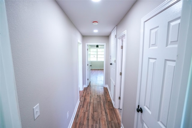 hallway with dark wood-type flooring