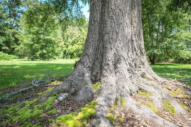 view of nature