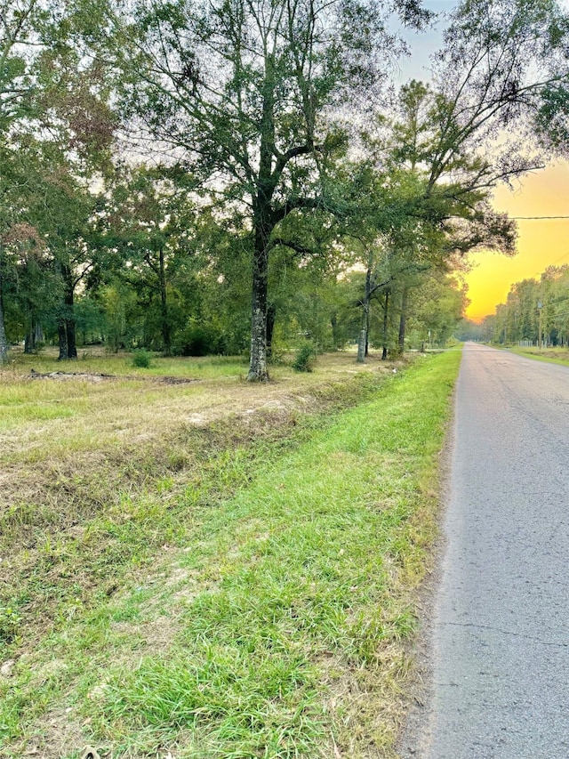 536, 236 County Road 373rd Rd, Splendora TX, 77372 land for sale