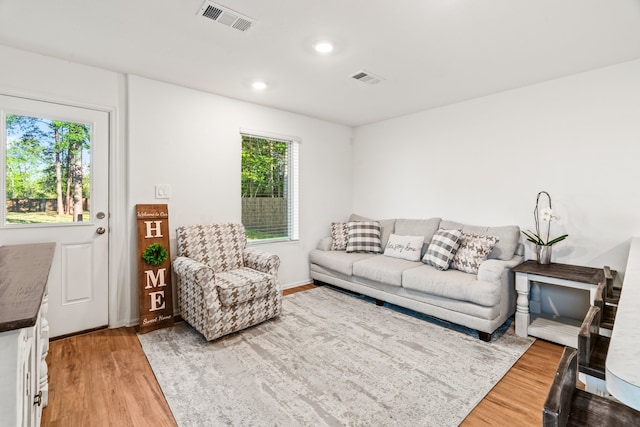 living room with hardwood / wood-style flooring and a healthy amount of sunlight