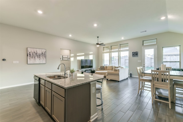 kitchen with light stone counters, sink, a healthy amount of sunlight, and dark hardwood / wood-style floors