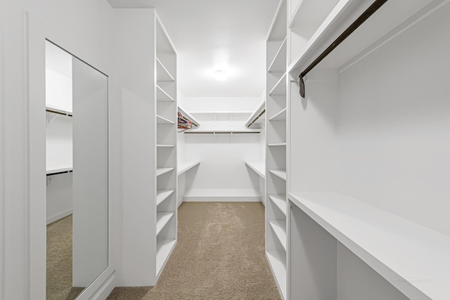 walk in closet featuring light carpet