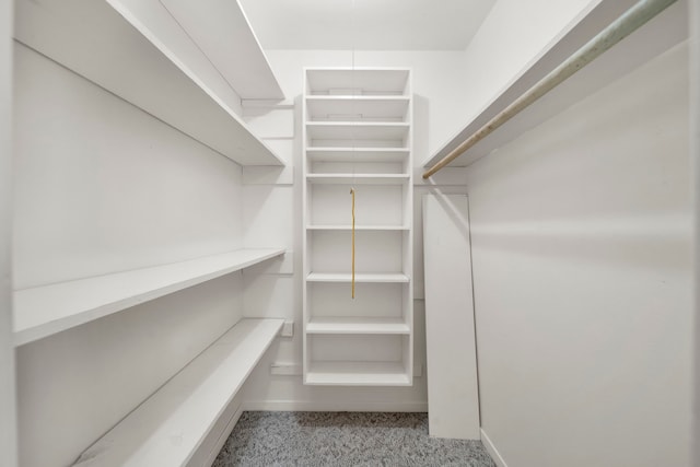 walk in closet featuring light carpet