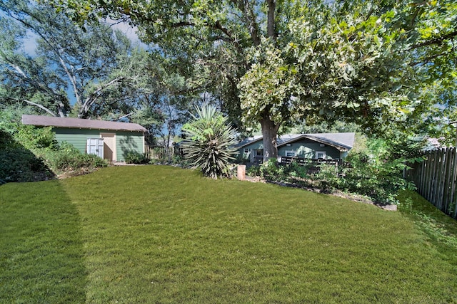 view of yard with a storage shed