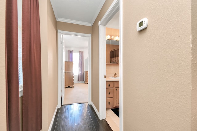 hall featuring crown molding and dark hardwood / wood-style flooring