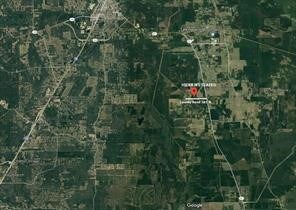 789 County Road 301 N, Dayton, TX 77535 - photo 3