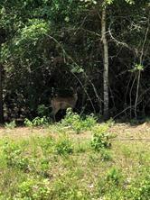 789 County Road 301 N, Dayton, TX 77535 - photo 1
