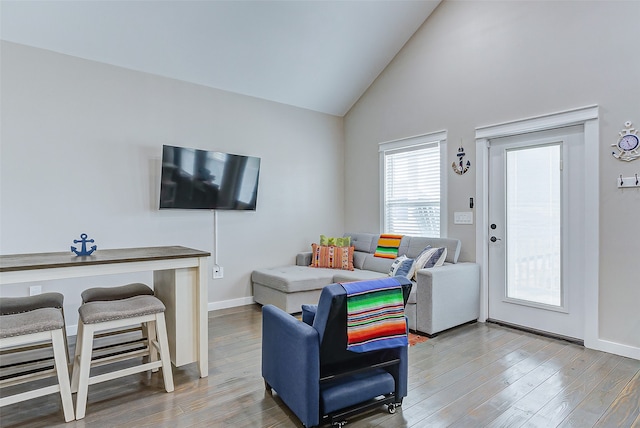 living room with wood-type flooring and high vaulted ceiling