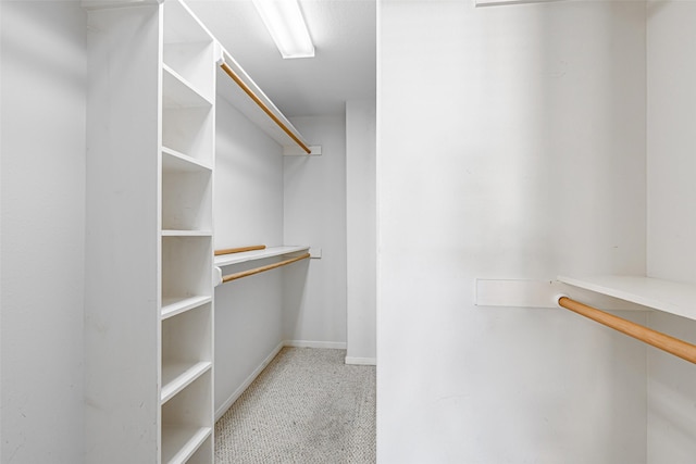 spacious closet featuring light carpet