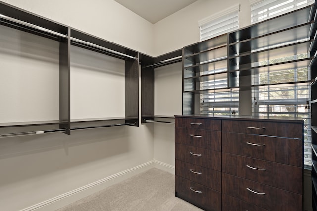 walk in closet featuring light colored carpet