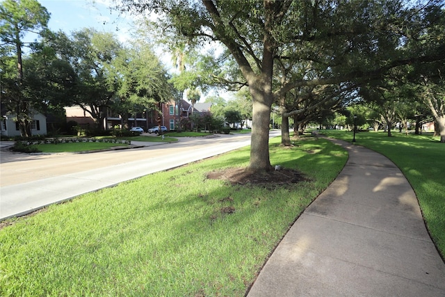 view of road