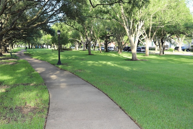 view of home's community with a lawn