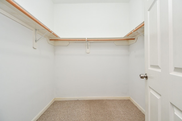 walk in closet featuring light carpet