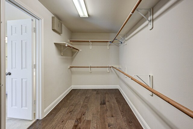 spacious closet featuring dark wood-type flooring