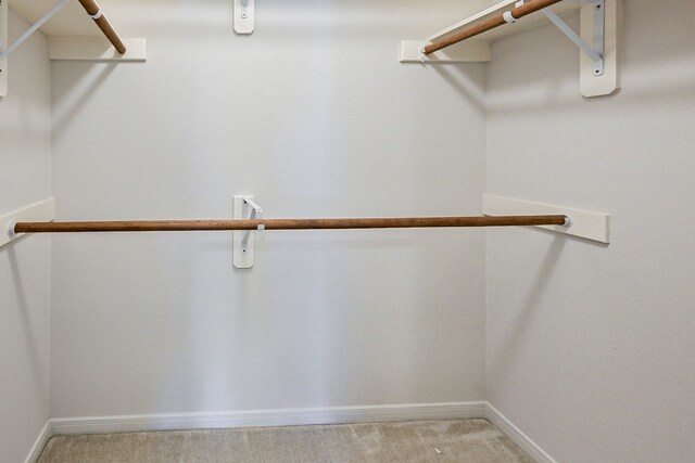 spacious closet featuring light colored carpet