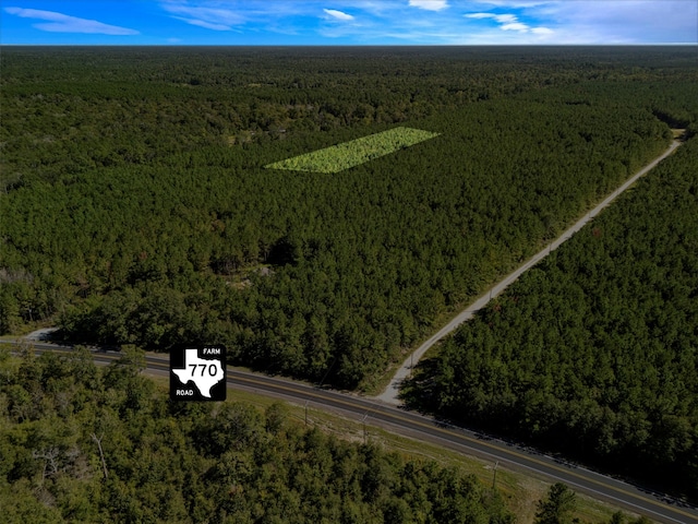 Listing photo 3 for TBD Fm-770, Kountze TX 77625