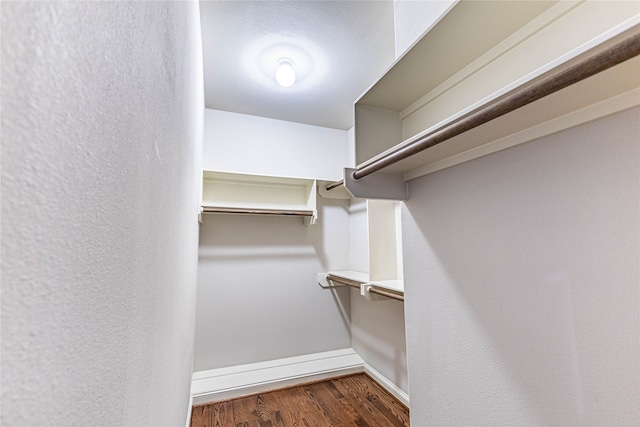 walk in closet featuring dark hardwood / wood-style flooring