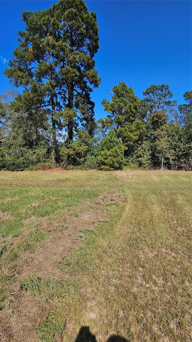 Listing photo 3 for TBD Hawthorne Rd N, New Waverly TX 77358