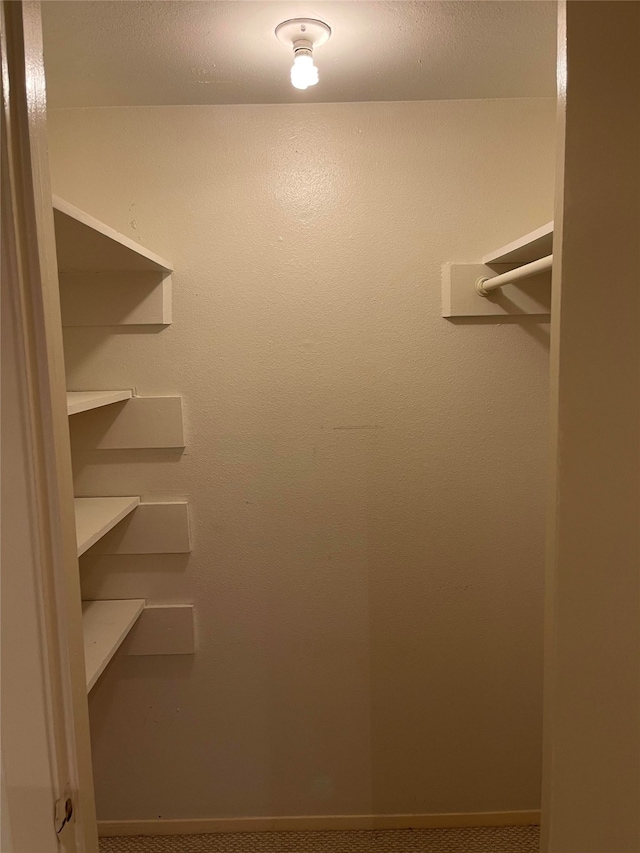 walk in closet with carpet flooring