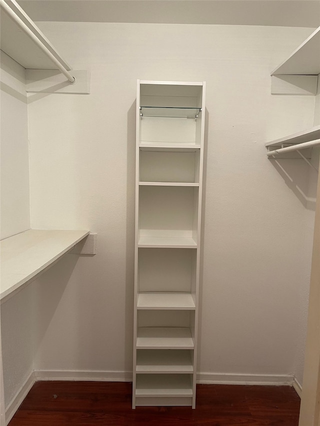 spacious closet featuring dark wood-type flooring