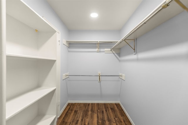 walk in closet featuring dark wood-type flooring