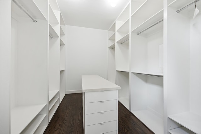 walk in closet with dark hardwood / wood-style flooring