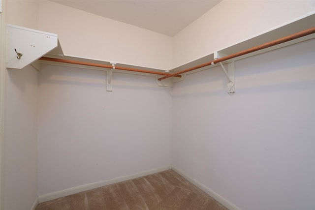 spacious closet featuring carpet