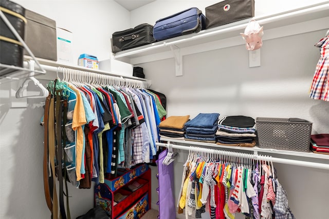 view of spacious closet