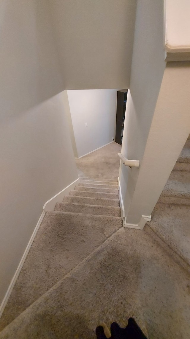 staircase with carpet floors