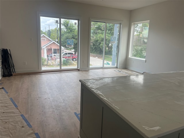 interior space featuring light stone counters and light hardwood / wood-style flooring