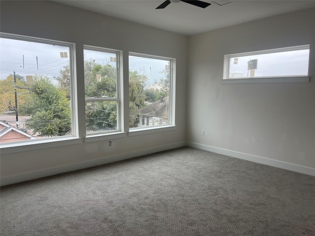 unfurnished room featuring carpet flooring and a healthy amount of sunlight