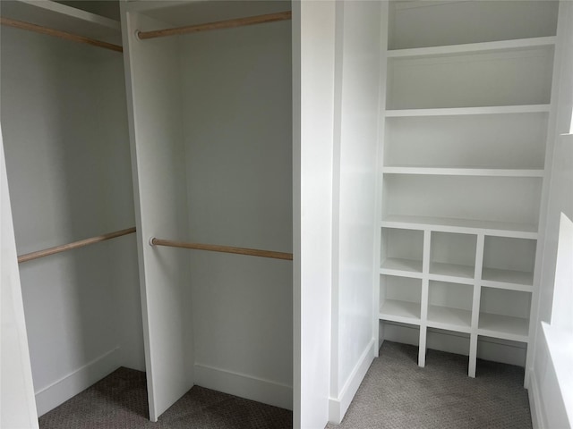 walk in closet featuring carpet