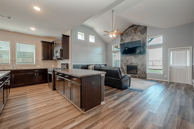 kitchen with plenty of natural light, appliances with stainless steel finishes, light wood-type flooring, and dark brown cabinets