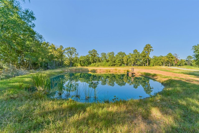 LOT13 Spring Branch Rd, Montgomery TX, 77316 land for sale