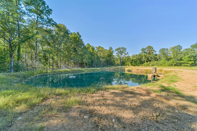 Listing photo 2 for LOT13 Spring Branch Rd, Montgomery TX 77316