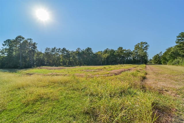 Listing photo 3 for LOT13 Spring Branch Rd, Montgomery TX 77316