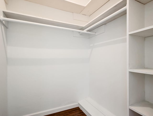 spacious closet with dark wood-type flooring