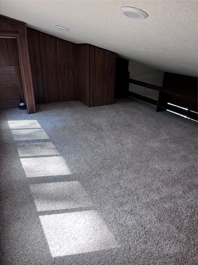 additional living space with carpet flooring and a textured ceiling