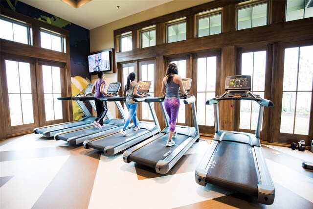 exercise room featuring a wealth of natural light