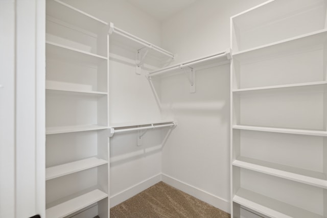 walk in closet with carpet