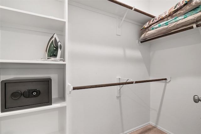 spacious closet featuring carpet flooring