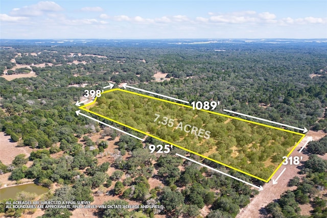 Listing photo 3 for TRACT2 County Road 157a, Hallettsville TX 77964