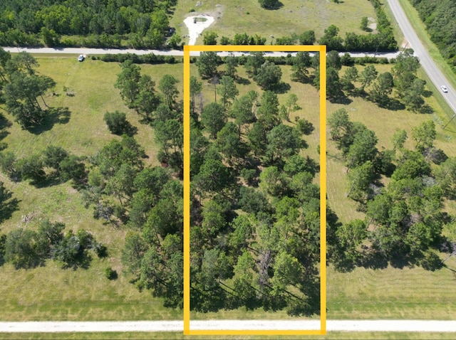 0 County Road 196, Liverpool TX, 77577 land for sale