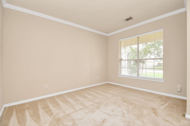 unfurnished room with crown molding and carpet flooring