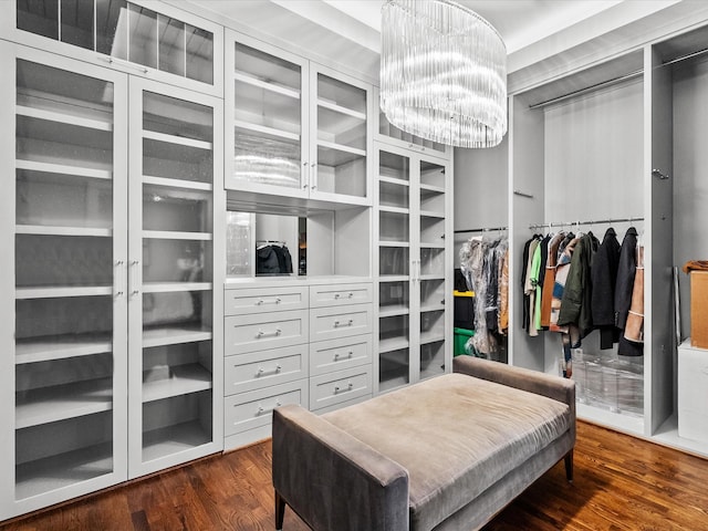 spacious closet featuring dark hardwood / wood-style flooring and a chandelier