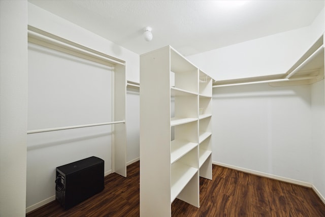 walk in closet with dark hardwood / wood-style flooring