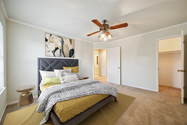 carpeted bedroom with a spacious closet, a closet, ornamental molding, and ceiling fan