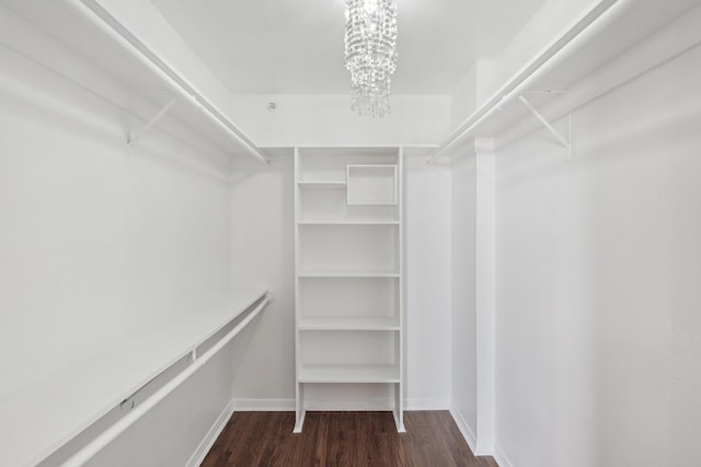 walk in closet featuring dark hardwood / wood-style floors and a notable chandelier