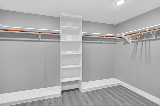 walk in closet featuring light hardwood / wood-style flooring